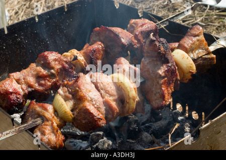 Shish Kebab Stockfoto