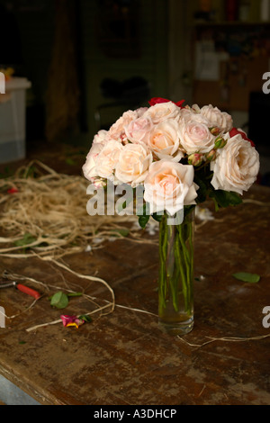 Bouquet von Rosa Martine Guillot, stieg ein Generosa Strauch von Roseraie Guillot, das älteste rose Unternehmen in Frankreich. Stockfoto