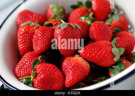 Erdbeeren in Emaille Sieb Stockfoto