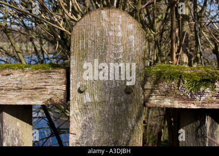 Detail der Brücke über den Fluss-Test in der Nähe von Romsey Stockfoto