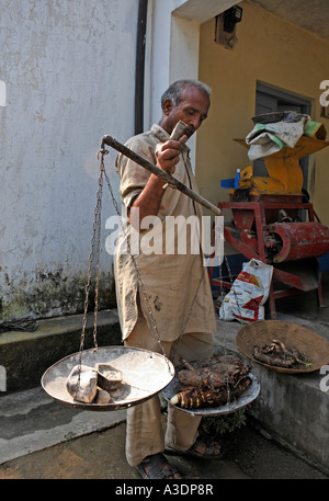 Indo-German-Changar-Eco-Development-Project, Biplu Ran wiegt Gemüse zu verkaufen, Dhanai. Palampur, Himachal Pradesh Stockfoto