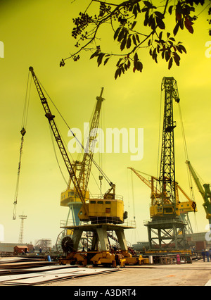 Krane auf Bach Dang Werft, Vietnam Stockfoto