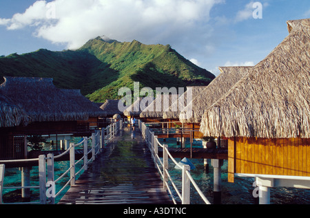 Overwater strohgedeckte Hütten mit Blick auf Küste, Sheraton Hotel Moorea, Tahiti Stockfoto