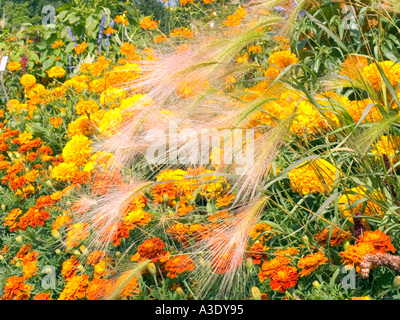 Grüne Blätter Botanischer Garten Pflanze Baum Busch Gewächshaus München Stockfoto