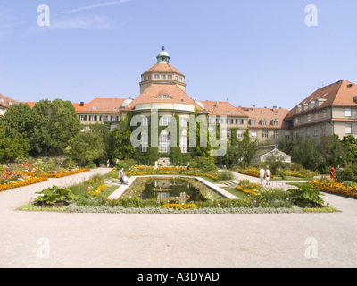 Grüne Blätter Botanischer Garten Pflanze Baum Busch Gewächshaus München Stockfoto