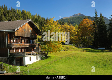 Altes Bauernhaus, umgeben von herbstlich gefärbten Ahornbäume in den Zillertaler Alpen, Tirol, Österreich Stockfoto