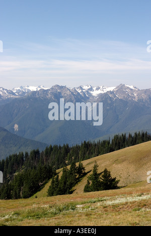 Hurricane Ridge, Olympic Nationalpark, Washington, im September Stockfoto