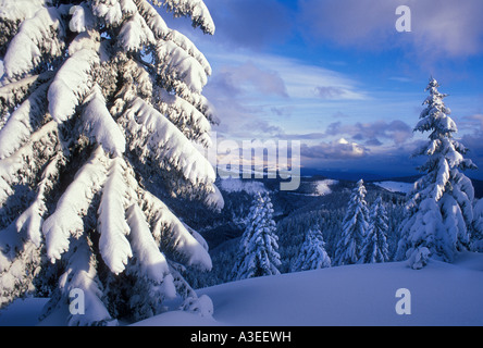 Blick aus dem Seebuck auf dem Schnee deckt Süd Schwarzwald, Baden-Württemberg, Deutschland Stockfoto