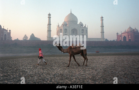 Das herrliche Taj Mahal als angesehen bei Sonnenaufgang über den Jamuna River in der Stadt Agra Indien Stockfoto