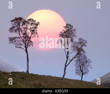 GB - Schottland: Winter Sonnenuntergang am Glen Lochsie Stockfoto