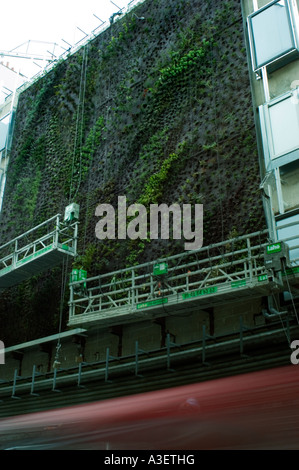 Paris Frankreich, ökologische Gebäudefassade, Vegetal Wall, vertikaler Garten an der Gebäudefront BHV Mens Kaufhaus, Umwelt paris grün, Stockfoto