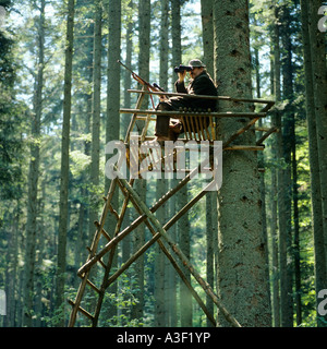 HERR JÄGER MIT FERNGLAS AUF EINEM HOCHSITZ IM WALD VON DEN VOGESEN-ELSASS-FRANKREICH Stockfoto