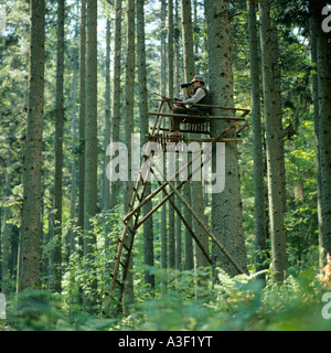 HERR JÄGER MIT FERNGLAS AUF EINEM HOCHSITZ IM WALD VON DEN VOGESEN-ELSASS-FRANKREICH Stockfoto