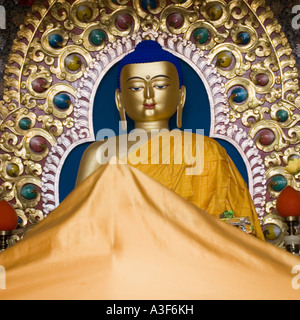 Nahaufnahme einer Statue des Buddha in einem Tempel, Namgyal Kloster, McLeodganj, Dharamshala, Himachal Pradesh, Indien Stockfoto