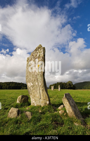 Nether Largie Standing Stones in Lady Glassary Holz Kilmartin Glen Schottland Stockfoto