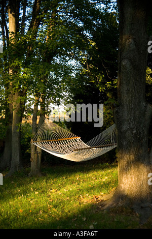 Hängematte zwischen zwei Bäumen Stockfoto