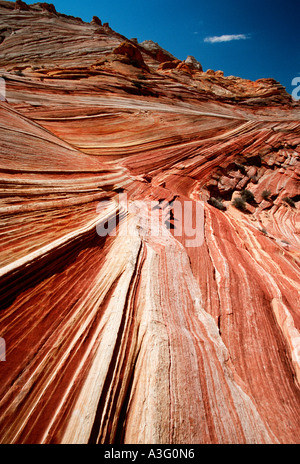 Nördlichen Coyote Buttes The Wave versteinerte Sanddüne USA Arizona Paria Canyon Vermillion Cliffs Wilderness Area Stockfoto