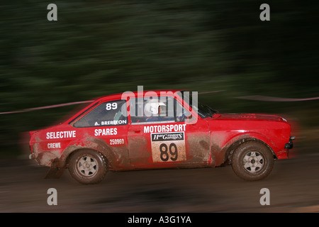 Ford Escort mk II markieren 2 zwei Autorennen in Grizedale Etappen Rallye, Lake District, Großbritannien Stockfoto