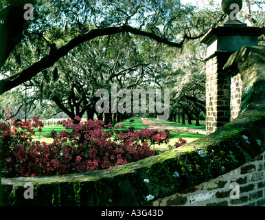 Boone Hall Plantage in der Nähe von Charleston in South Carolina Stockfoto