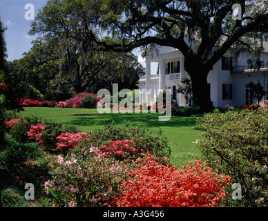 Orton Plantation Antebellum Herrenhaus nahe Wilmington in North Carolina mit riesigen Azalea Sträucher in voller Blüte Stockfoto