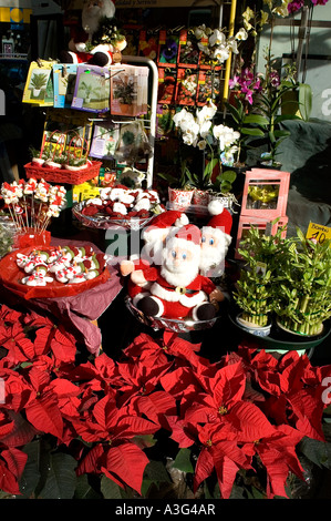 Barrio Gotico gotische Viertel in Barcelona Weihnachten Stockfoto