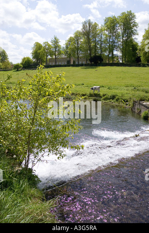 Blick über die Furt über die Sherborne Bach an der Cotswold Dorf von Sherborne Gloucestershire Stockfoto