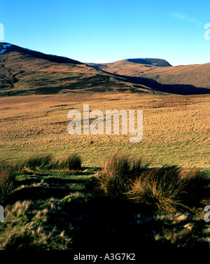 Blick über Fforest Fawr mit Lüfter Gyhirych in Ferne Brecon Beacons Nationalpark wales Stockfoto