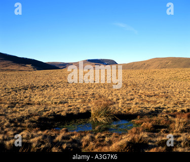 Blick über Fforest Fawr mit Lüfter Gyhirych in Ferne Brecon Beacons Nationalpark wales Stockfoto