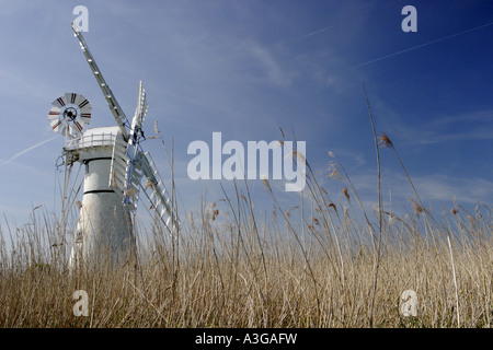 Thurne Deich Windmühle auf dem Fluss Thurne, Norfolk Broads, England. Dieses weiße Windmühle und blauer Himmel über das trockene Gras Vordergrund Stockfoto