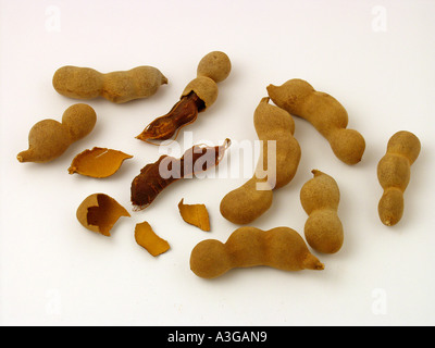 Tamarind Stockfoto
