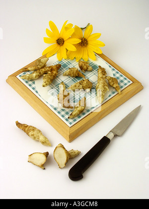 Topinambur Helianthus tuberosus Stockfoto