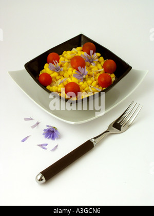 Chicorée-Blumen-Salat Stockfoto