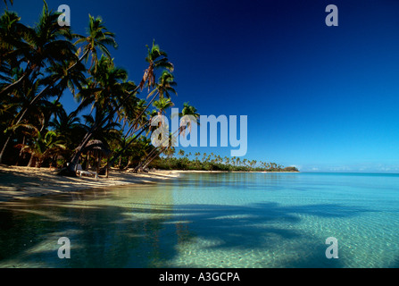 Tropische Strände Fidschi Stockfoto