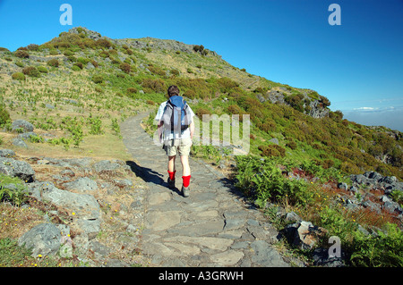 Zwischen Achada Teixeira / Encumeada Stockfoto