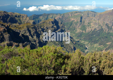 Zwischen Achada Teixeira / Encumeada Stockfoto