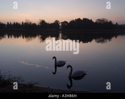 Frensham kleinen Teich - Surrey - UK Stockfoto