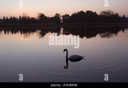 Frensham kleinen Teich - Surrey - UK Stockfoto