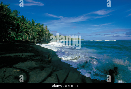 Palmen am schwarzen Sand Strand Hawaii big Island Bundesstaat Hawaii usa Stockfoto