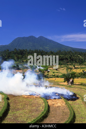 Rauch stieg in den Himmel als Felder der Stoppeln nach der Ernte mit gunung Mount Agung hinter tirtagganga Bali Indonesien brennen Stockfoto
