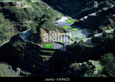 Reis-Terrassen Banaue Talregion Ifugao Insel Luzon Philippinen Stockfoto