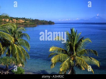 Grüne Palmen gegen einen tiefblauen Himmel und Meer Mount Agung auf Bali am Horizont Senggigi Lombok Indonesien Stockfoto