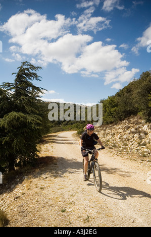 Weibliche Mounatin Biker auf den Luberon in der Provence, Frankreich, Europa Stockfoto
