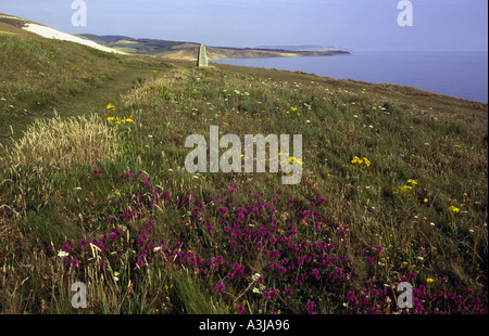 Die Coastal Pfad auf Afton unten betrachten Comton Bay und Brook Bay Isle Of Wight England UK Stockfoto