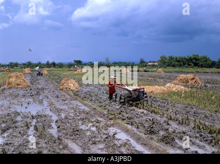 lokaler Mann pflügt ein Reisfeld mit einem primitiven Traktor in der Nähe von Madiun Ost-Java-Indonesien Stockfoto