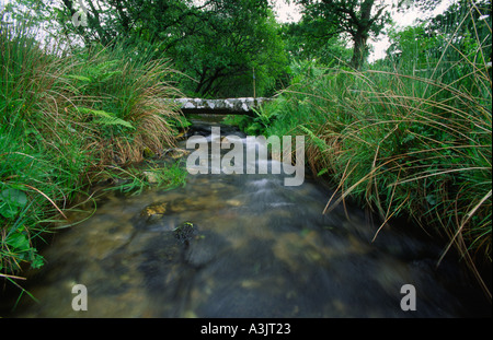 Steinerne Brücke über einen Bach in Dartmoor West England Landschaft Farbe Farbe Stockfoto