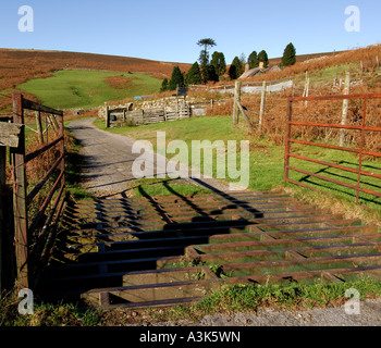 Rinder-Raster und rostigen Metall Tor am Eingang zu einem alten traditionellen Bauernhof auf Dartmoor Stockfoto