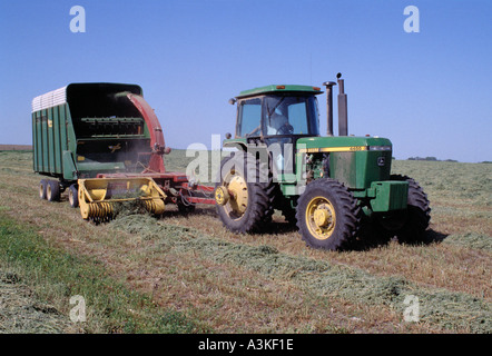 Garhering Luzerne Heu Stockfoto
