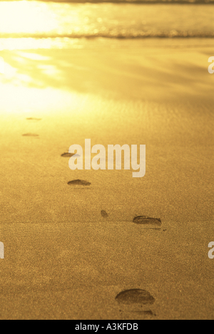 Fußabdruck am Strand Stockfoto