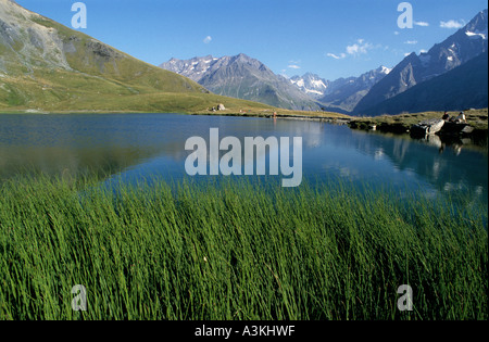 Berge rund um den Lac du Pontet, Französische Alpen, Frankreich. Stockfoto