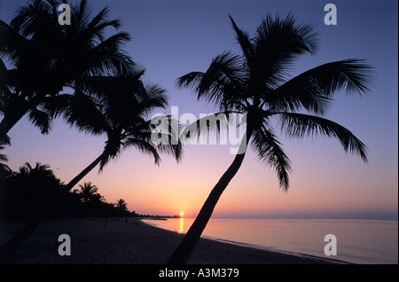Ruhigen Sonnenaufgang über Palme gesäumten Strand Key West Florida Stockfoto